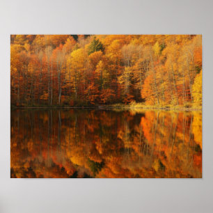 Póster Reflejos de Otoño