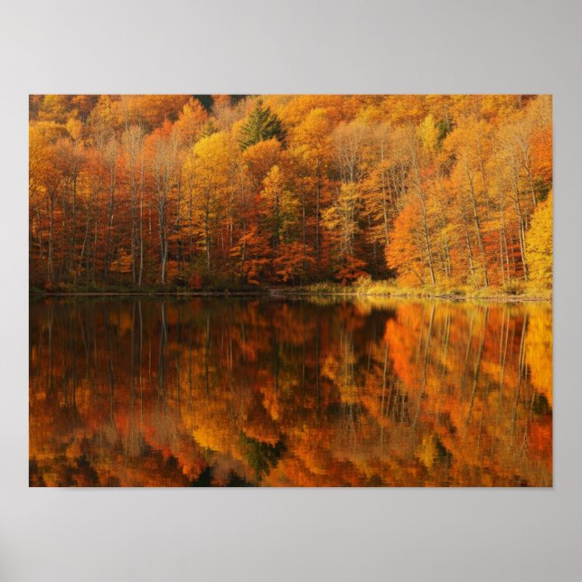 Póster Reflejos de Otoño (Frente)