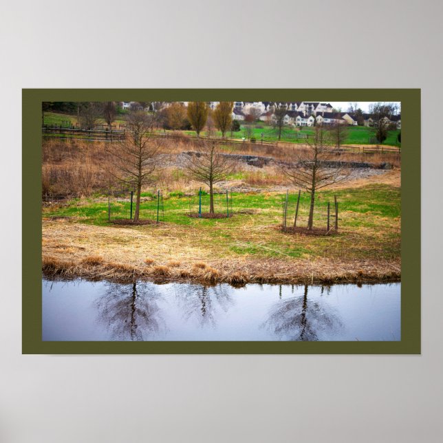 Póster Reflejos de paisaje acuático de estanque Foto Póst (Frente)