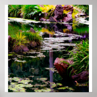 Póster Reflejos del Jardín