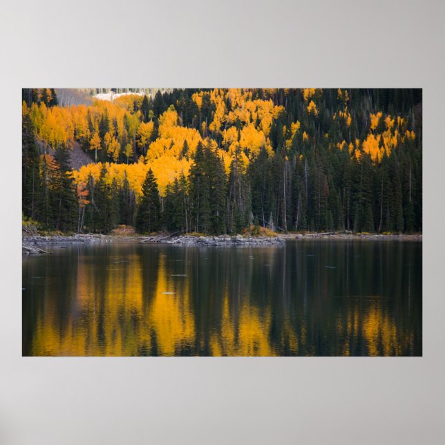 Póster Reflexión (Frente)