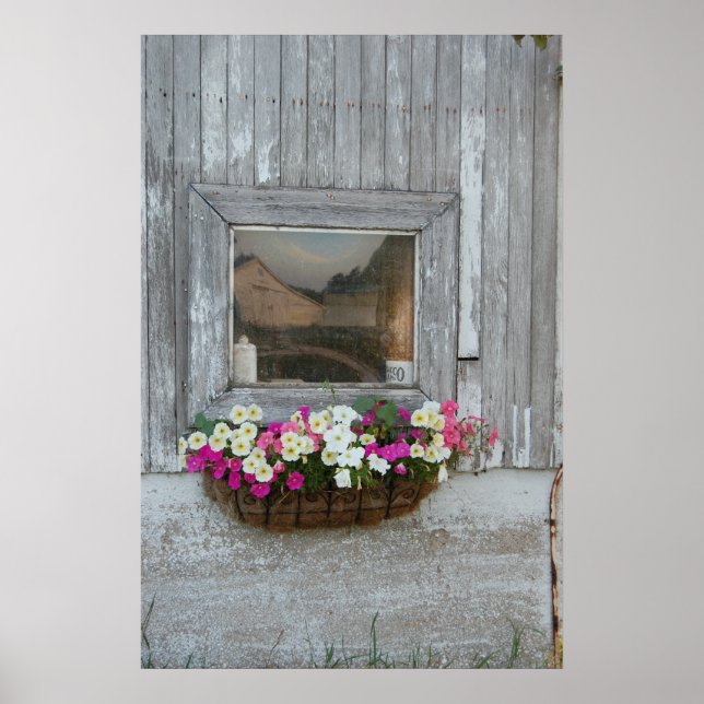 Póster Reflexión de Barn (Frente)