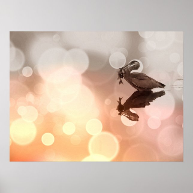 Póster Reflexión de la Gran Garza Azul del Sol (Frente)