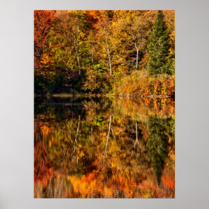 Póster Reflexión de otoño en Coffin Pond