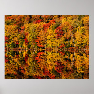 Póster Reflexión de otoño en Russell Pond   New Hampshire