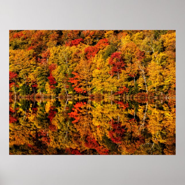Póster Reflexión de otoño sobre Russell Pond | Nuevo Hamp (Frente)