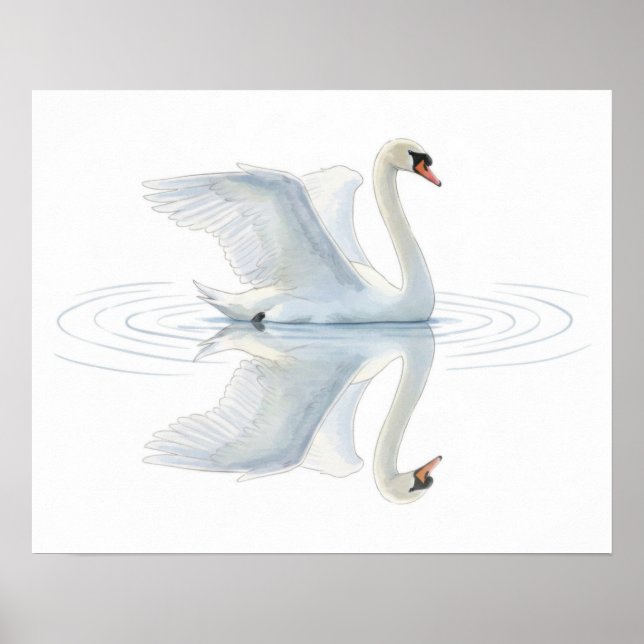 Póster Reflexión del cisne (Frente)