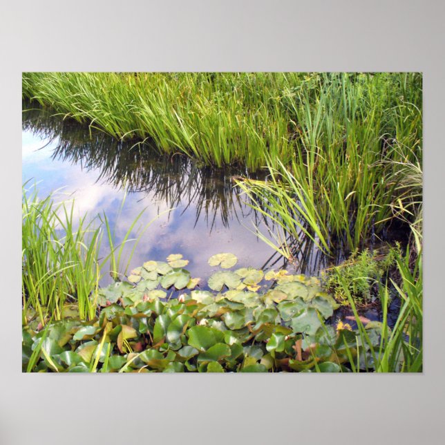 Póster Reflexion des Himmels im See mit Lilien (Frente)