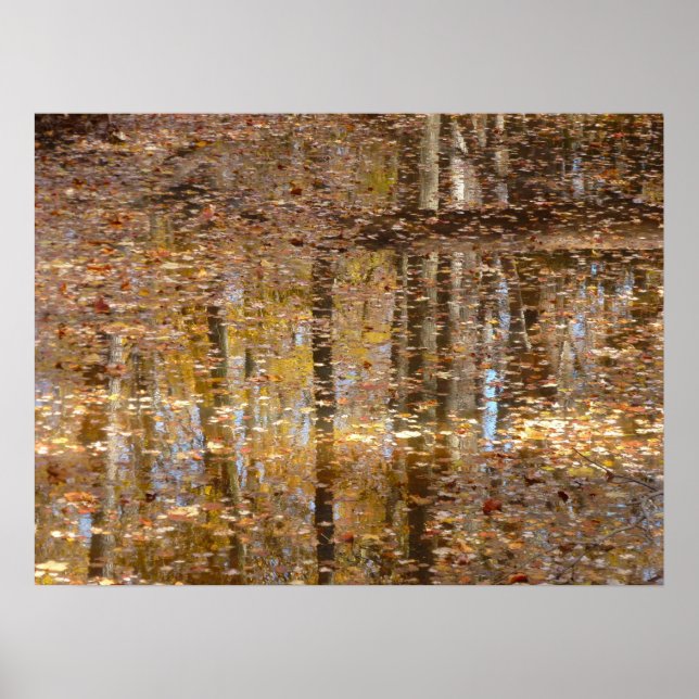 Póster Reflexión en Creek conservado en el parque Greenbe (Frente)