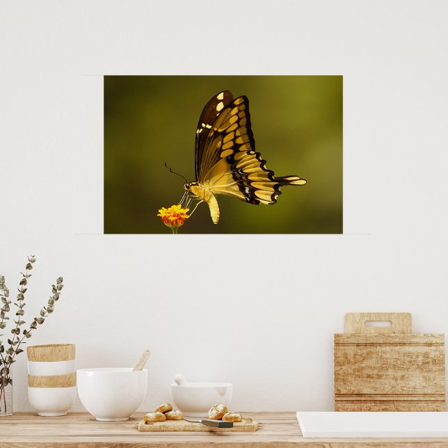 Póster Reflexión majestuosa (Cocina)