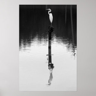 Póster Reflexión persistente