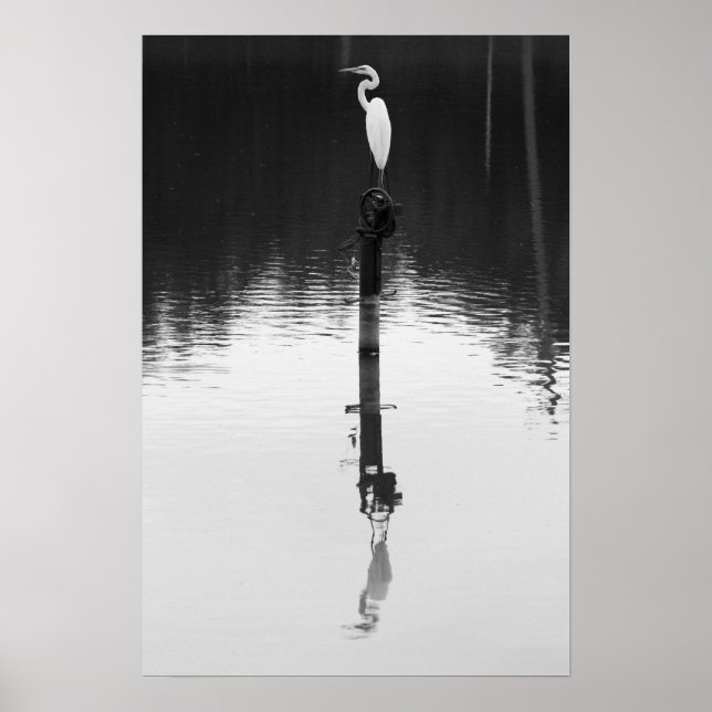 Póster Reflexión persistente (Frente)