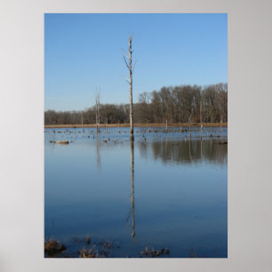 Póster Reflexión singular