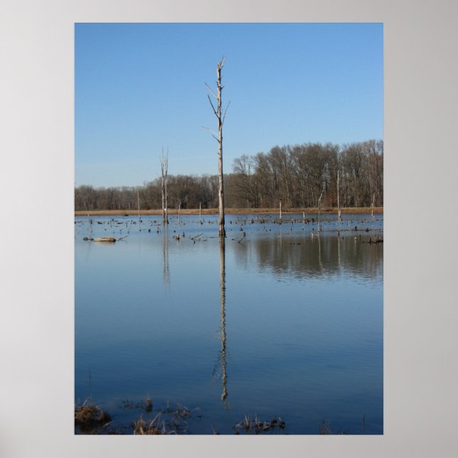 Póster Reflexión singular (Frente)