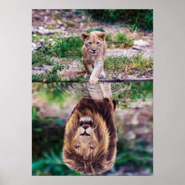 Póster Reflexión sobre el agua de la red de leones (Frente)