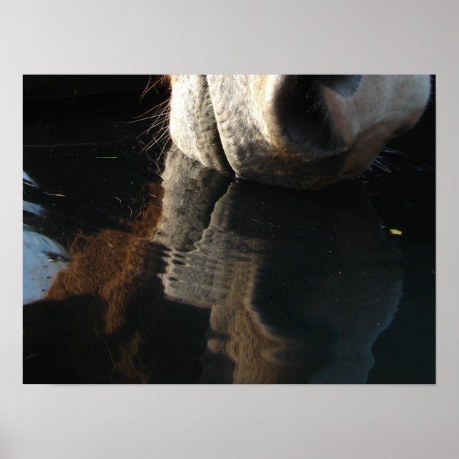 Póster Reflexión sobre las bebidas de los caballos (Frente)