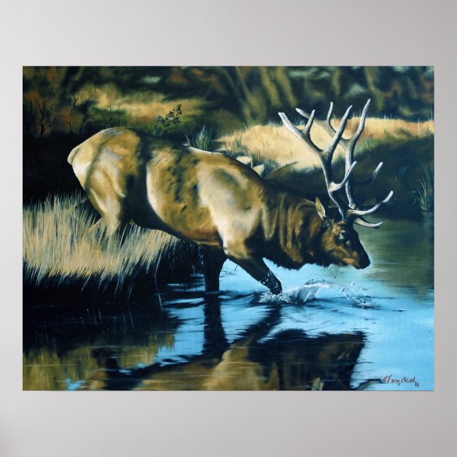 Póster Reflexiones (Frente)