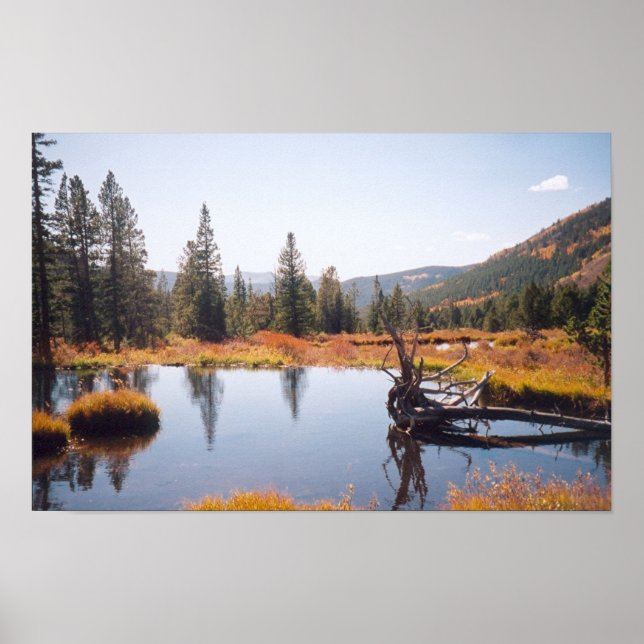 Póster Reflexiones (Frente)