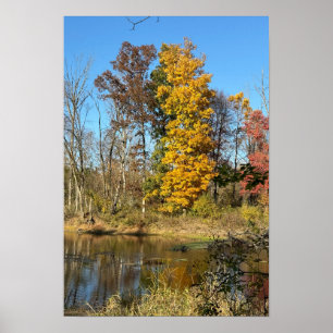 Póster Reflexiones autum sobre el Poster creek