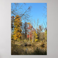 Reflexiones autum sobre el Poster creek