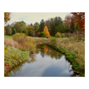 PÓSTER REFLEXIONES AUTUMNALES EN EL JARDÍN BOTÁNICO DE TO