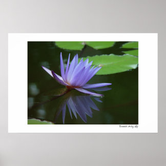 Póster Reflexiones azules