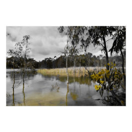 Póster Reflexiones bajo los cielos grises