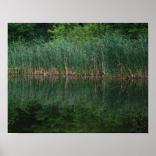 Póster Reflexiones Cattail En El Efecto Orton Pond