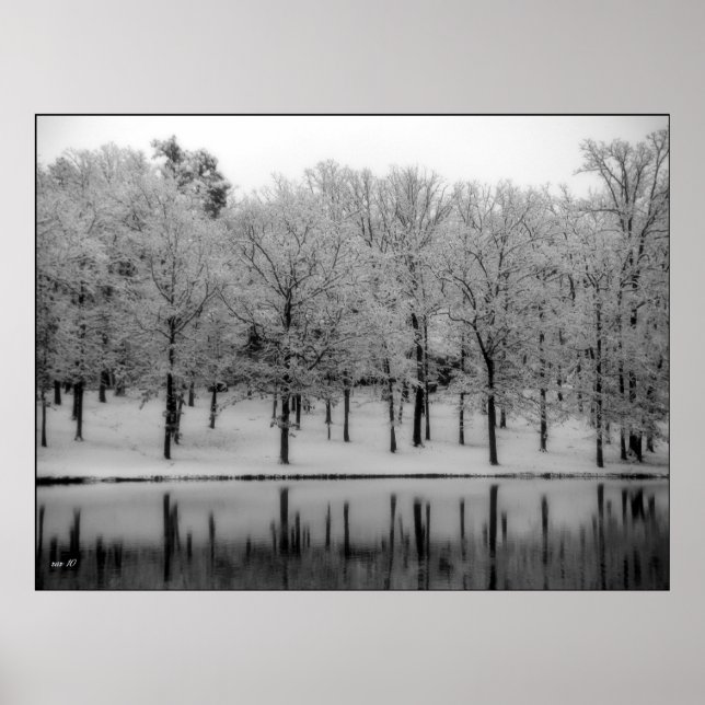 Póster Reflexiones de invierno (Frente)