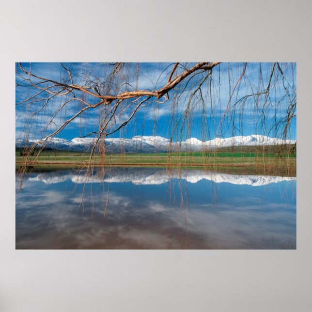 Póster Reflexiones de invierno. Distrito de Ceres, Boland (Frente)