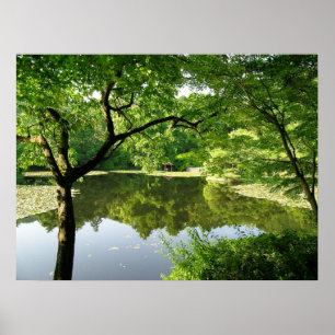 Póster Reflexiones de Kyoto Japón