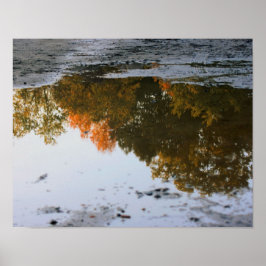 Póster Reflexiones De Otoño En Una Naturaleza De Puddle
