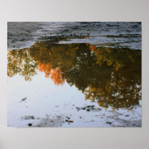 Póster Reflexiones De Otoño En Una Naturaleza De Puddle