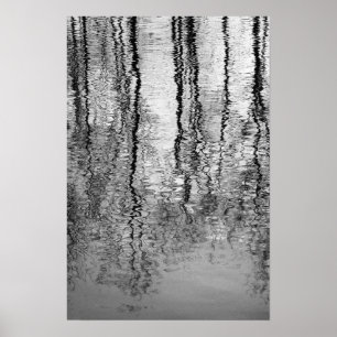 Póster Reflexiones del árbol