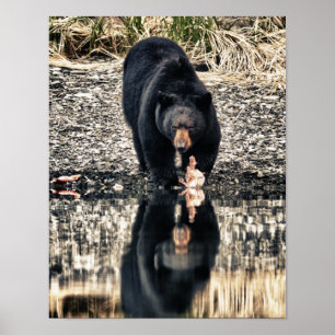 Póster Reflexiones del oso negro