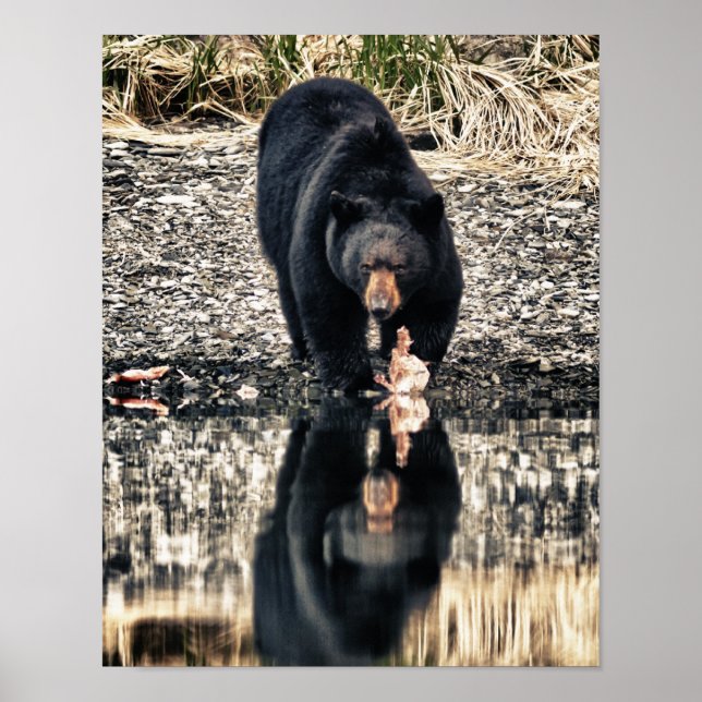 Póster Reflexiones del oso negro (Frente)
