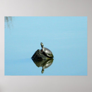 Póster Reflexiones del Poster de primavera (tortuga)