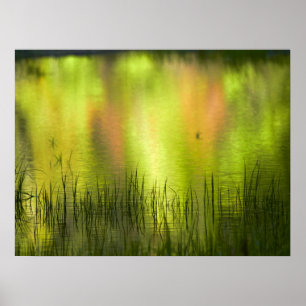 Póster Reflexiones en el lago espejo Yosemite