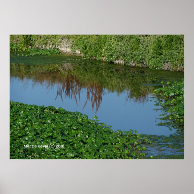 Póster Reflexiones en verde (Frente)