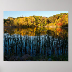 Póster Reflexiones otoñales del Marthaler Park