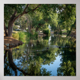 Póster Reflexiones pacíficas sobre los estanques: el espe