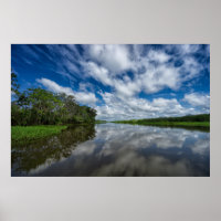 Reflexiones sobre la selva peruana