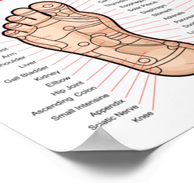 Póster Reflexología de los pies: 11x8" (Esquina)