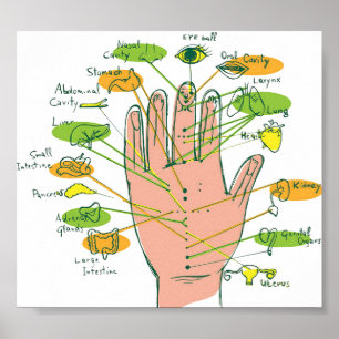 Póster Reflexología de mano 6x5"