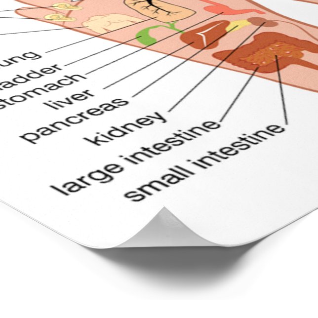 Póster Reflexología de pie 12x10" (Esquina)