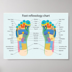 Póster reflexology del pie