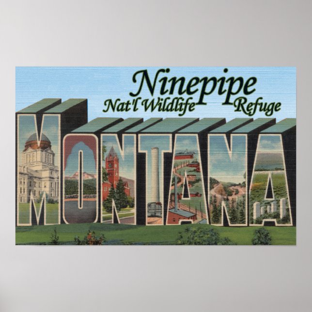 Póster Refugio de vida silvestre Ninepipe Nat'l, Montana (Frente)