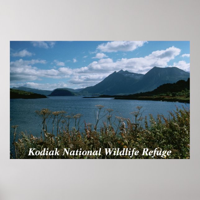 Póster Refugio Nacional de Vida Silvestre Kodiak (Frente)