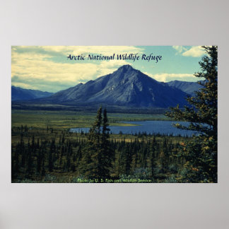 Póster Refugio Nacional de Vida Silvestre poster/Ártico