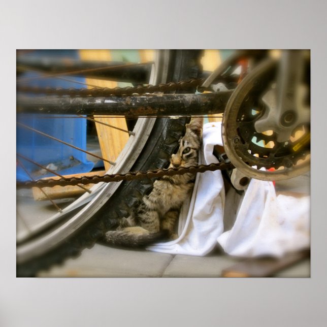 Póster Refugio para bicicletas 2 (Frente)